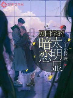 小熊猫足球冒险